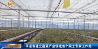 院士专家为崇信蔬菜瓜果产业把脉支招 - 甘肃省广播电影电视