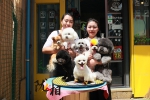 【陇人相】 两位兰州辣妈与宠物美容院的“奇缘记” - 中国甘肃网