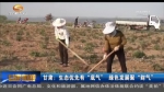 甘肃：生态优先有“底气”  绿色发展聚“财气” - 甘肃省广播电影电视