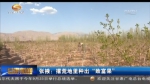 张掖：撂荒地里种出“致富果”     - 甘肃省广播电影电视
