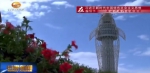 嘉峪关：打造戈壁滩上的天然氧吧 - 甘肃省广播电影电视