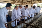 我校专家受邀参加庆阳肉羊产业扶贫技术研讨培训会 - 甘肃农业大学