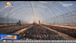 ​兰州市农村“三变”改革取得成效 - 甘肃省广播电影电视
