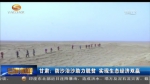 甘肃：化“沙”成财的治沙路  让大漠“披绿生金” - 甘肃省广播电影电视