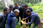 学校邀请专家赴岷县开展中蜂养殖技术培训 - 甘肃农业大学