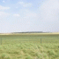 图为盛夏时节的瓜州县东巴兔草原。　魏金龙　摄 - 甘肃新闻