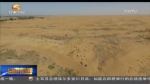 王银吉：沙漠中治出“680个足球场” - 甘肃省广播电影电视