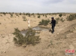6月中旬，当地民众在沙漠里为树木浇水。徐雪 摄 - 甘肃新闻
