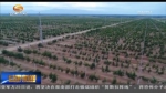 到2020年 甘肃省将完成国土绿化1500万亩！ - 甘肃省广播电影电视