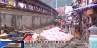 陇南文县：碧口镇街道积水消退 清淤工作正在展开 - 甘肃省广播电影电视