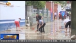 陇南文县：碧口镇街道积水消退 清淤工作正在展开 - 甘肃省广播电影电视