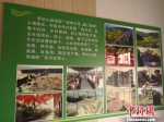 图为积石山县中药材种植产业扶贫模式介绍。　南如卓玛 摄 - 甘肃新闻