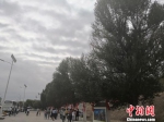 中国新闻网：甘肃嘉峪关绿色“进化论”：从“八棵树”到“满眼绿” - 交通运输厅