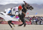 西藏阿里举行赛马竞技大赛 - 中国甘肃网