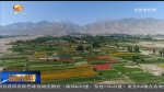 酒泉：打造种子产业的“中国芯” - 甘肃省广播电影电视
