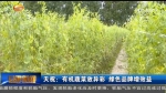 天祝：有机蔬菜放异彩 绿色品牌增效益 - 甘肃省广播电影电视