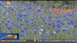 “环境革命”进行时 央媒记者眼中的“甘南样板” - 甘肃省广播电影电视