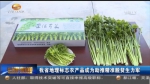 甘肃省地理标志农产品成为助推精准脱贫生力军 - 甘肃省广播电影电视