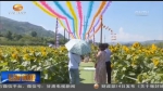 “花海经济”：喜了游人 富了农民 - 甘肃省广播电影电视