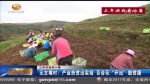 【三年决战奔小康】元古堆村：脱贫路上的百合花开了 他们笑了 - 甘肃省广播电影电视