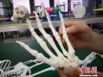 图为3D打印的手关节模型。　魏建军 摄 - 甘肃新闻