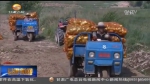 【三年决战奔小康】兰州：“小土豆”成为富民大产业 - 甘肃省广播电影电视