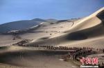 图为8月中旬，敦煌鸣沙山月牙泉景区每天有1200余峰骆驼在大漠里往来穿梭，形成了长约2公里的龙形长队。　敦煌市委宣传部供图 摄 - 甘肃新闻