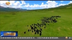 甘肃：保护生态环境  实现绿富美多赢 - 甘肃省广播电影电视