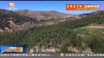 定西：当代造林“愚公” 植树造林50年 - 甘肃省广播电影电视