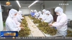 天津对口支援甘南州成效显著 - 甘肃省广播电影电视