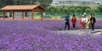 （经济）（2）甘肃：乡村旅游让农民享受“绿色收益” - 人民网
