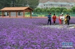 （经济）（2）甘肃：乡村旅游让农民享受“绿色收益” - 人民网