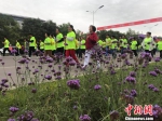 甘肃金昌举办马拉松比赛 逾万跑者体验“花海赛道” - 甘肃新闻