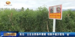 高台：立足自然条件禀赋　创新升级沙里淘“金” - 甘肃省广播电影电视