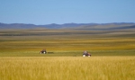内蒙古：草原打草忙 - 中国甘肃网