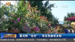 黄河畔“花村”：有花有曲有乡愁 - 甘肃省广播电影电视