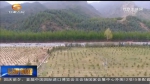 天祝：扎实推进生态环境整改 全力筑牢国家生态安全屏障 - 甘肃省广播电影电视