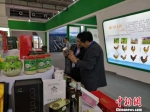 四川省广元市在甘肃参展的产品受亲睐。　刘薛梅 摄 - 甘肃新闻