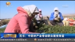 民乐：中药材产业带动群众脱贫致富 - 甘肃省广播电影电视