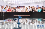 （科技）（1）第二十届中国机器人及人工智能大赛开幕 - 人民网