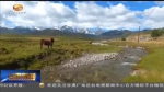 新闻链接：筑牢国家生态安全屏障 - 甘肃省广播电影电视