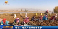 【三年决战奔小康】靖远：蔬菜产业撑起致富梦 - 甘肃省广播电影电视