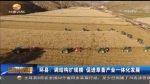环县：调结构扩规模 促进草畜产业一体化发展 - 甘肃省广播电影电视