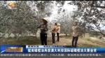 厉害了！陇南橄榄油获国际大奖 - 甘肃省广播电影电视