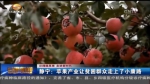 【壮阔陇原潮 走进新时代】静宁：苹果产业让贫困群众走上了小康路 - 甘肃省广播电影电视