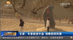 甘肃：冬春旅游升温   领略别样风情 - 甘肃省广播电影电视