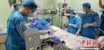 甘肃省人民医院重症医学科医生正在手术中。(资料图) 南如卓玛 摄 - 甘肃新闻