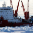 （“雪龙”探南极）（1）“雪龙”号船边的南极企鹅 - 人民网