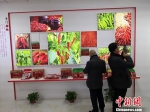 图为玉门农产品交易市场内景。　冯志军 摄 - 甘肃新闻
