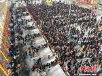 图为高空俯瞰5万人排队等候分食“牛娃子饭”。　杨艳敏 摄 - 甘肃新闻